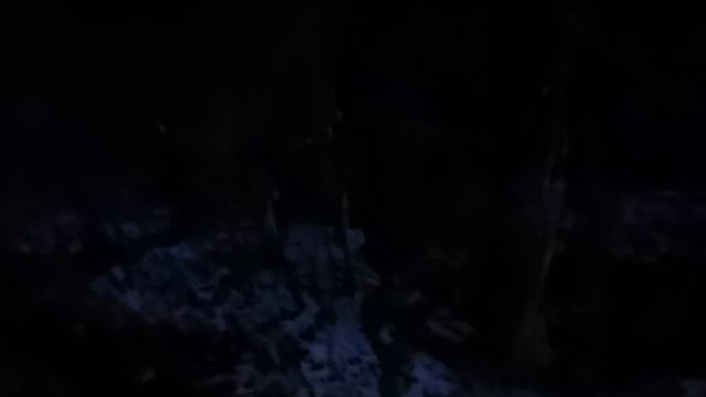 Демидовский лес. Место, где нашли останки Влада Бахова смотреть онлайн