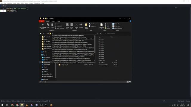 Lecture 2 3 Python Files and Text Editor | Programming смотреть онлайн