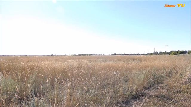 Ах ты, степь широкая... смотреть онлайн