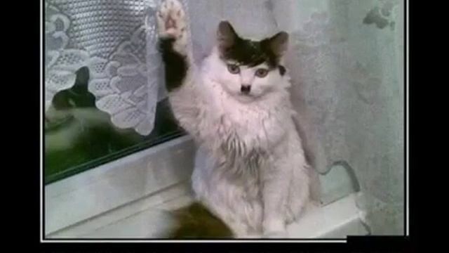 Приколы с одноклассников. Как смешно ? смотреть онлайн