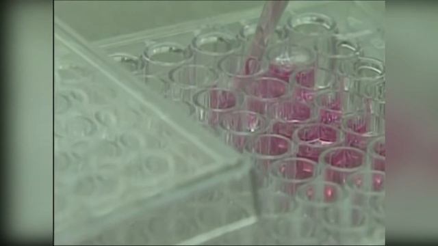 Можем ли мы воскресить мамонтов - И НУЖНО ЛИ ЭТО? смотреть онлайн