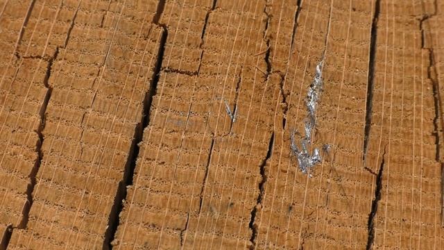 Клепка бочки (Ранняя и Поздняя древесина)