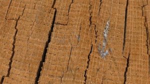 Клепка бочки (Ранняя и Поздняя древесина)