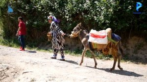 Парвина Шукруллоева аз болои хар афтид «Бонуи пурнухар»