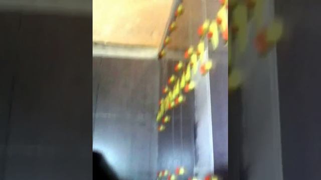 #ремонт#санузла#мурманск#СВП смотреть онлайн