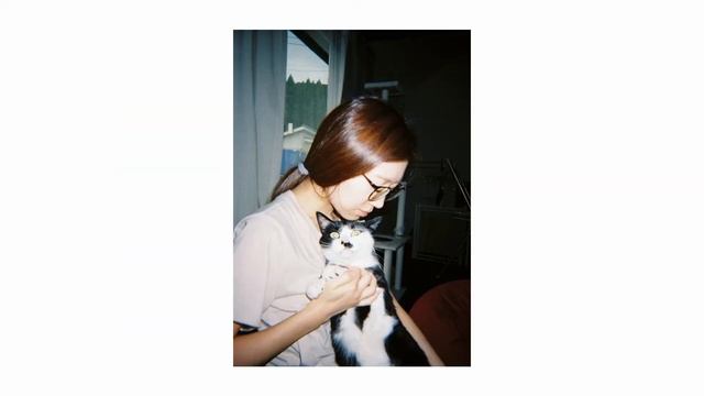 【フィルムカメラ】KODAK M38 смотреть онлайн