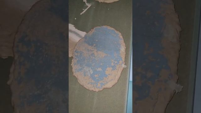 Никогда не клей гипсокартон на стены , которые много раз купоросили смотреть онлайн