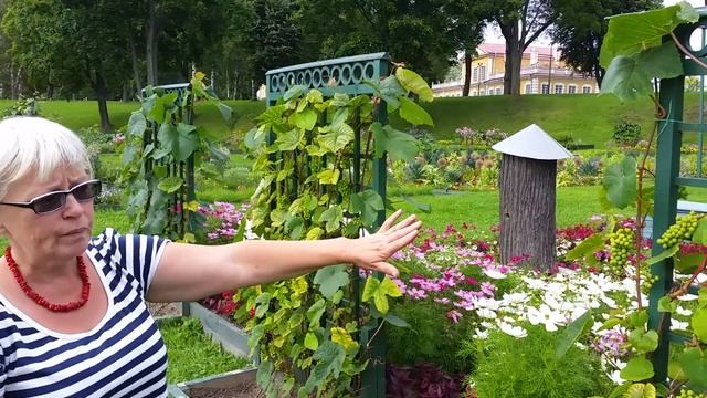 На Петровском огороде с Е.М.Кузьменко смотреть онлайн