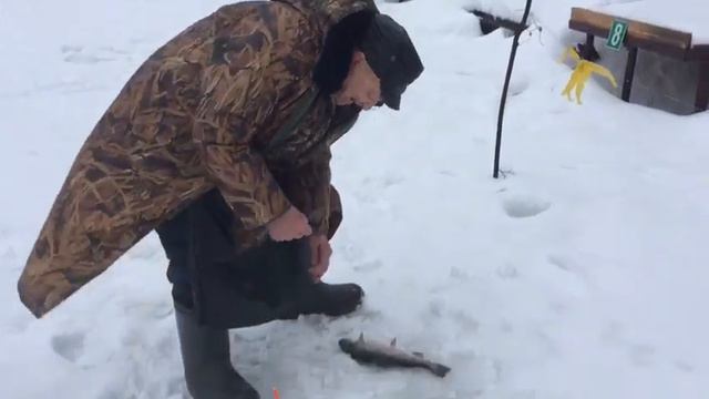 Ловля форели со льда .РК Фишка Липки. смотреть онлайн