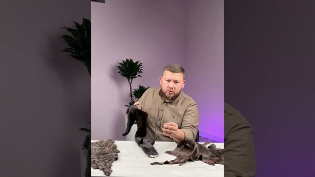 No’rka Spinka O’zi Nma 909993709 Savollar Bo’lsa Kamentariyaga Yozing