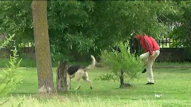 В Уссурийске планируют привести в порядок парк имени Чумака смотреть онлайн