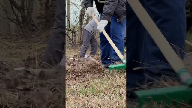 Субботник на территории будущего Исламского центра Мурманской области 20.05.2023 смотреть онлайн