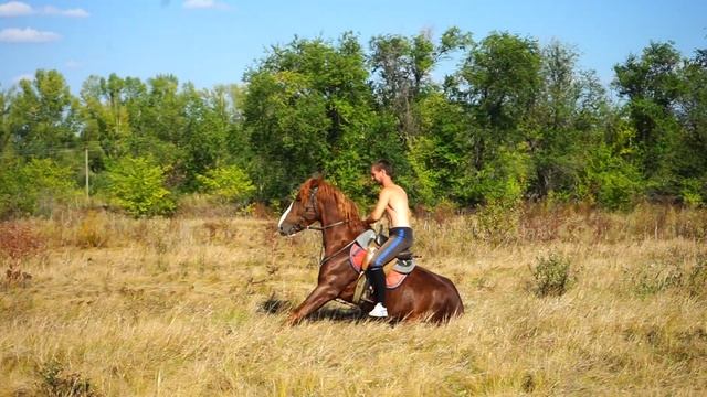 Тренировка КСК Бузулукский смотреть онлайн