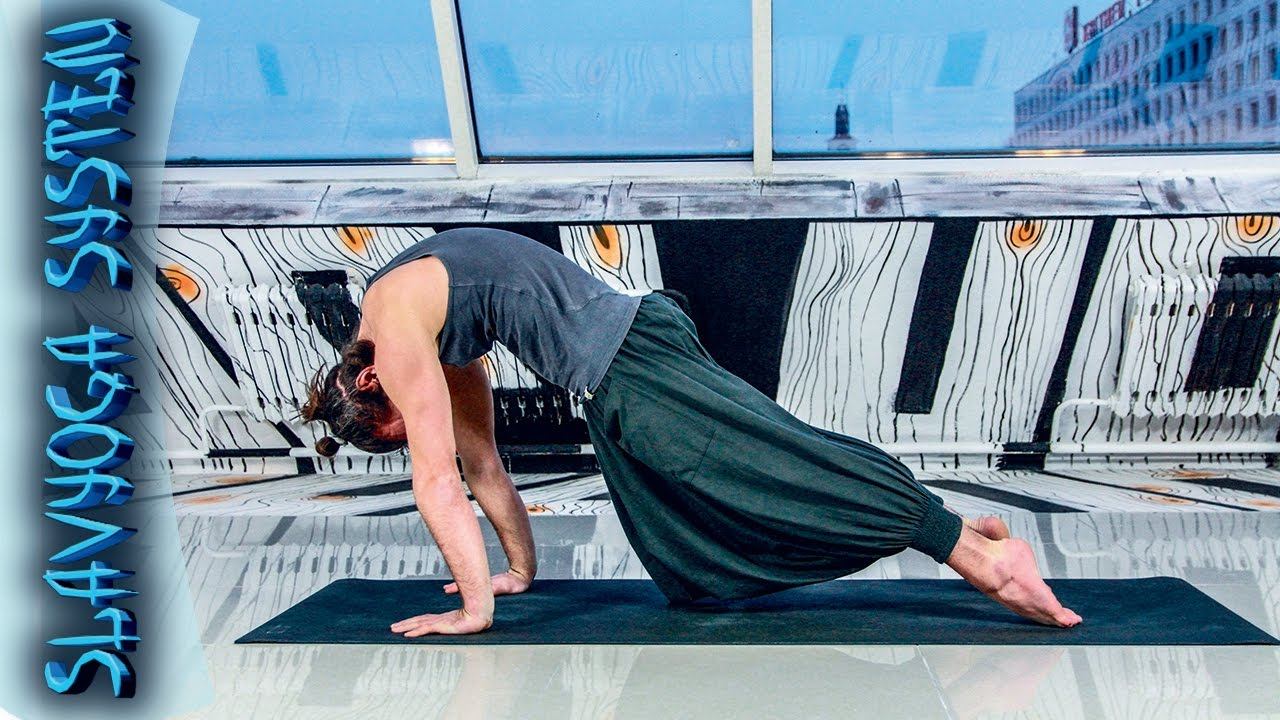 Випарита дханурасана в чатуранга дандасане ⚡ Асаны хатха йоги Йога для начинающих ⭐ SLAVYOGA смотреть онлайн