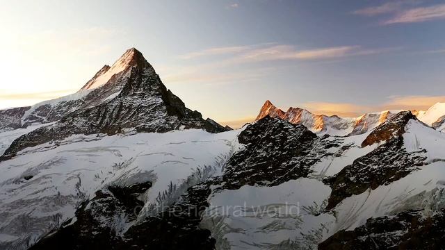 Valera Season's Greetings ✨ смотреть онлайн