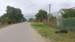 Село МОЛОЧНОЕ КРЫМ 2022 Что посмотреть в Молочном? Заброшенная трамвайная дорога.  Пляж, антенна.