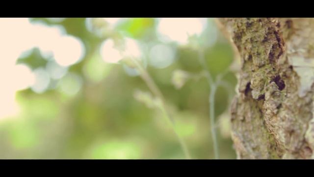 Canon EOS 1200D sample Video - EF-S 18-55 III Kit lens [1080p] смотреть онлайн