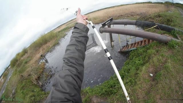 Ловля Карася на подъемник | Рыбалка на паук весной | Зарыбление водоема #61 смотреть онлайн