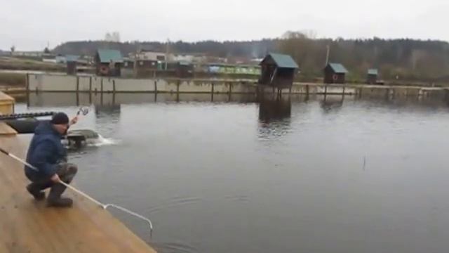 Форелевый водоём рыбхоза Гжелка смотреть онлайн