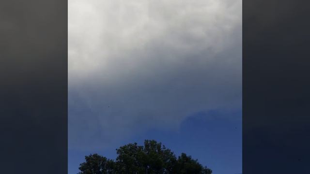 Голуби сталбовая игра Санкт-Петербург смотреть онлайн