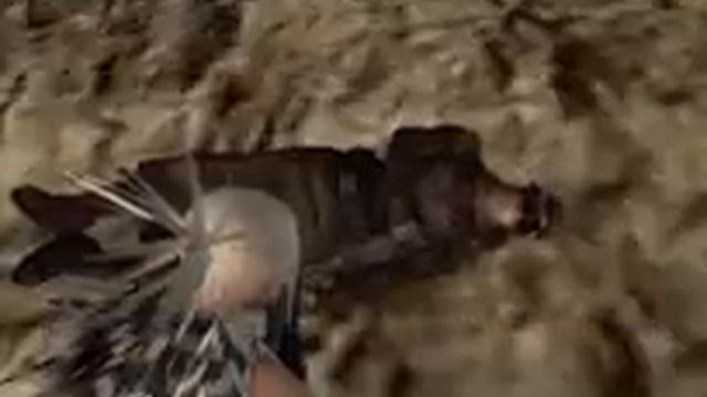 PS2 Longplay [064] Magna Carta: Tears of Blood (part 03 of 22) смотреть онлайн