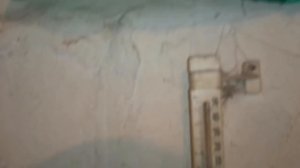 Вывод маток без переноса личинок . Прививка