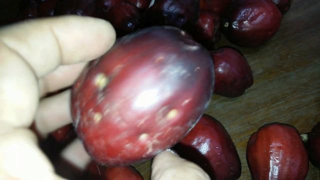 ชมพู่มะเหมี่ยว Syzygium malaccense смотреть онлайн