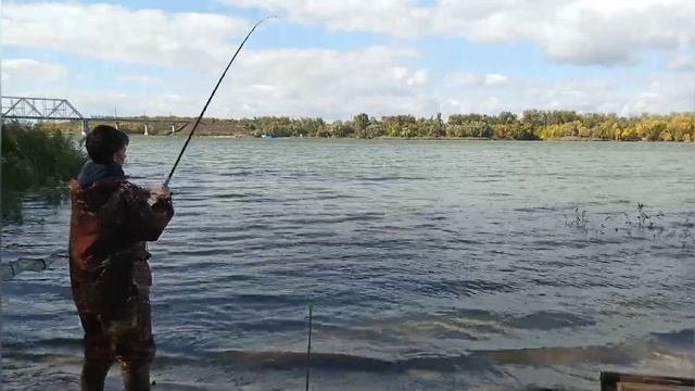 РЫБАЛКА на левом берегу ДОНА!!! РЫБАЛКА на КАРАСЯ и ТАРАНКУ!!! смотреть онлайн