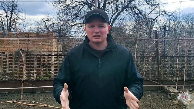 План работ на винограднике в Апреле. Сезон 2021 года! смотреть онлайн