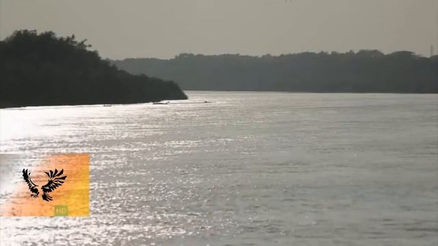 ЖИВАЯ_ПРИРОДА_ВИДЕО_Оприроде_ЗАПОВЕДНАЯ_ПРИРОДА_ПОДМОСКОВЬЯ