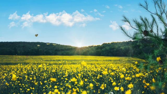 12 Minute Super Deep Meditation Music • Relax Mind Body, Inner Peace, Relaxing Music смотреть онлайн