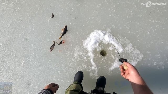 ЗАКРЫТИЕ ЗИМНЕГО СЕЗОНА 2022 - 2023 \ ДО СВИДАНИЯ, ПОДЛЁДНАЯ РЫБАЛКА \ Часть 4 \ ПОСЛЕДНИЙ ЛЁД смотреть онлайн