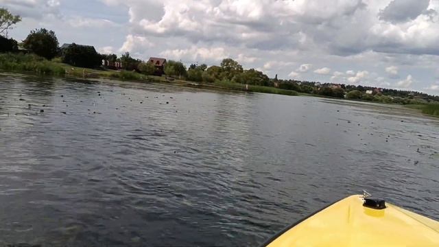 По реке Воронеж на Викинге 420 смотреть онлайн