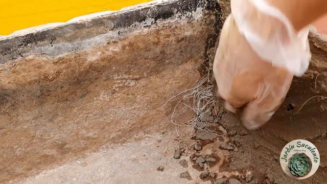 Cambio Radical de Jardineras en Terraza/Creando dos diseños con plantas de sol/Jardín Suculento смотреть онлайн