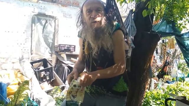 Япония - Витя Митя смотреть онлайн