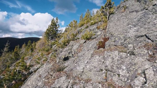 НОЧЬЮ В ЛЕСУ ВСТРЕТИЛ ОТШЕЛЬНИЦУ, ПОХОД ТЕЛЕЦКОЕ - АГАФЬЯ #4 смотреть онлайн