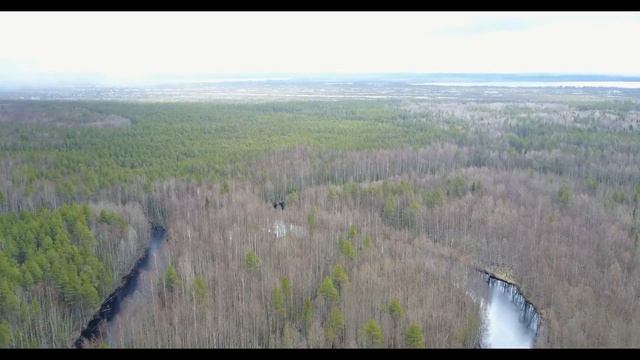 Северодвинск 4 июня 2017 р.Кудьма смотреть онлайн