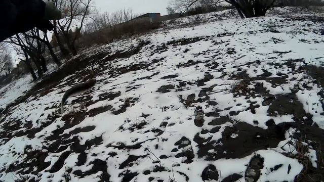 Ловля голавля и жереха в марте на р. Б.Сосна смотреть онлайн