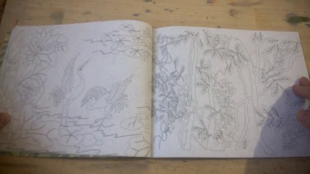 Раскраска "Цветочные фантазии"/ просмотр страниц смотреть онлайн