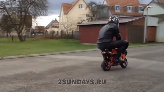 Детский мотоцикл MOTAX 50 сс в стиле Ducati Минимото POCKET BIKE смотреть онлайн