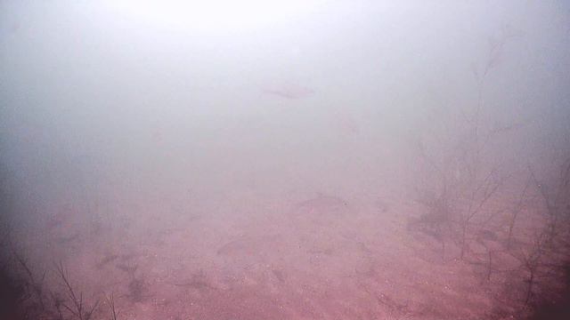 Большое озеро видео 1 смотреть онлайн