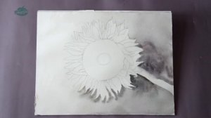 Живопись, подсолнух акварелью. Видеоурок для детей от 10 лет и взрослых.