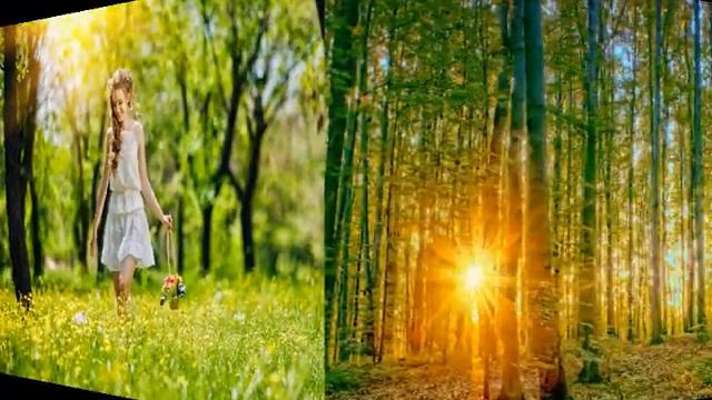 Л. ВЕЛИКАНОВА Счастье в дом смотреть онлайн