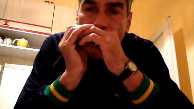 Hohner Blues Harp ms harmonica смотреть онлайн