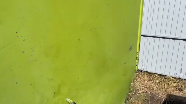 Клаас Роллант 62 привезли из Европы смотреть онлайн