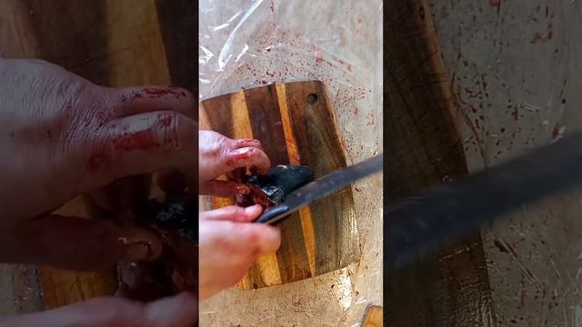 Вдохновение на Тарелке