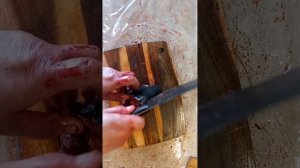 Маринад для сазана.