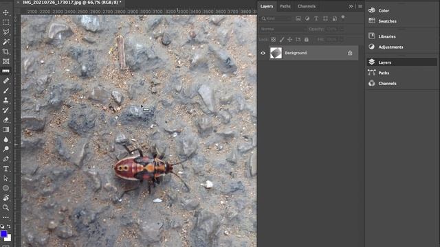 rotate an image with precision in photoshop смотреть онлайн