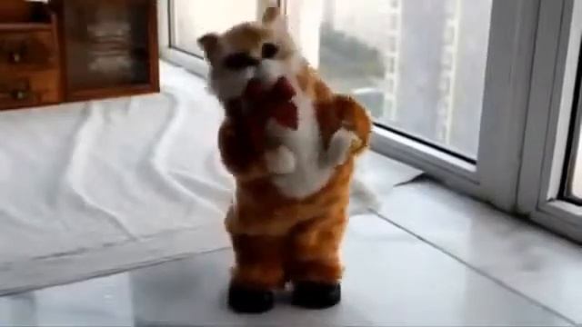 Игрушка музыкальный танцующий кот смотреть онлайн