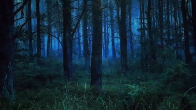 Если обступают тебя тучи. Отец Сергий Булгаков. смотреть онлайн